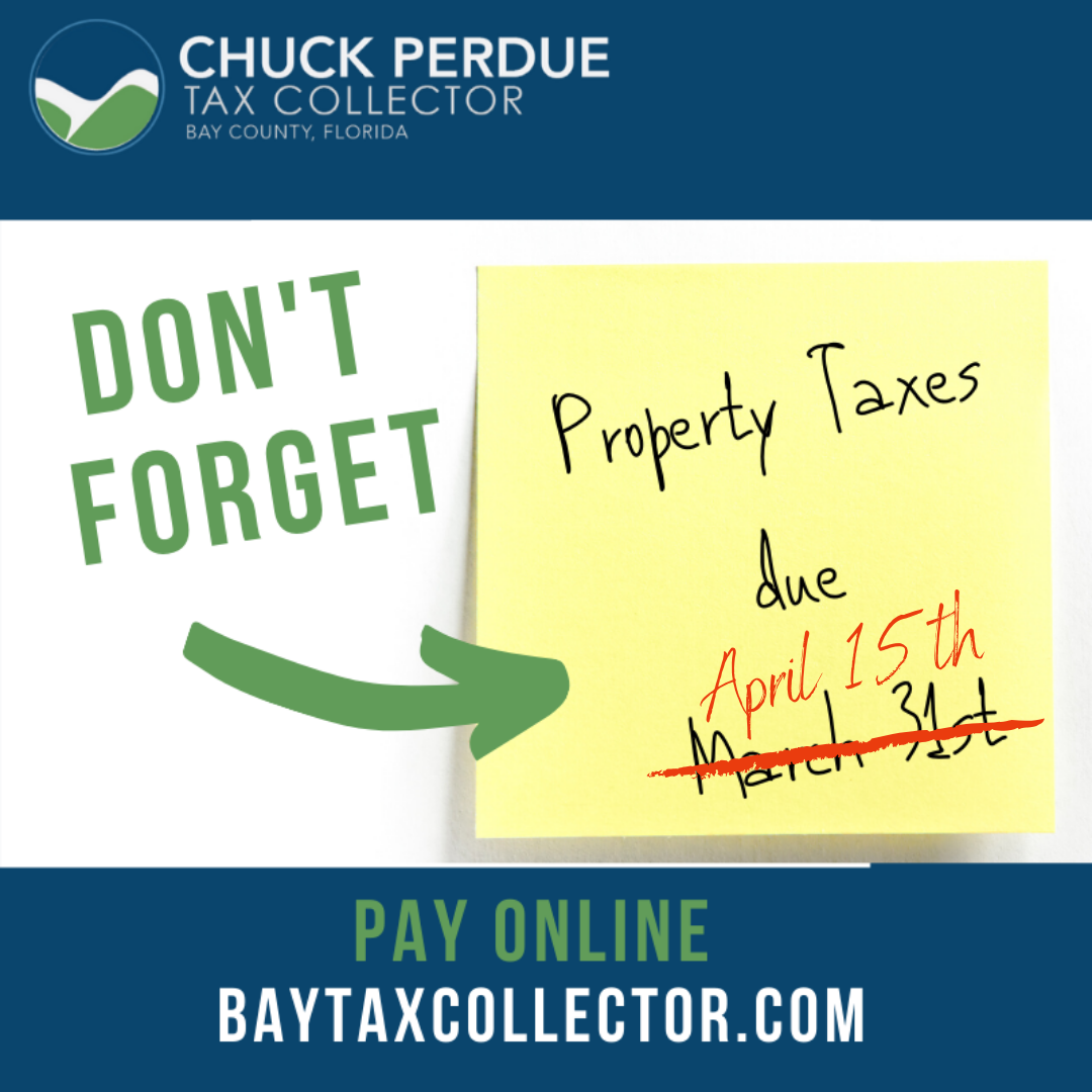 bay-tax-collector-news